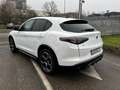 Alfa Romeo Stelvio Stelvio 2.2 t Veloce Q4 210cv auto Blanc - thumbnail 5