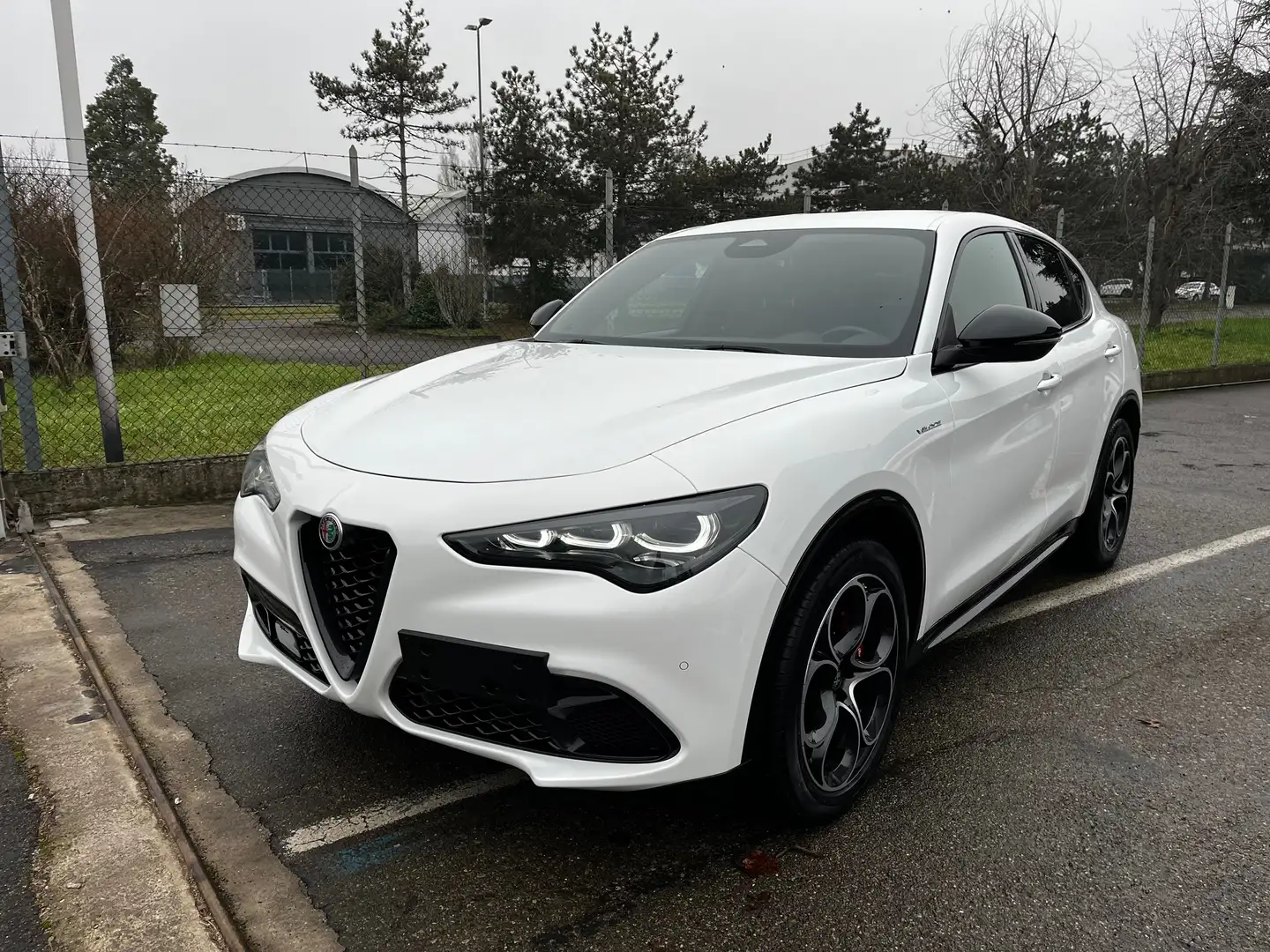 Alfa Romeo Stelvio Stelvio 2.2 t Veloce Q4 210cv auto Blanc - 2