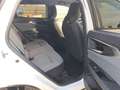 Renault Austral Equilibre DAB LED SHZ Weiß - thumbnail 13
