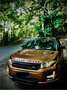 Land Rover Range Rover Evoque 5p 2.2 td4 Launch edition 150cv - thumbnail 1