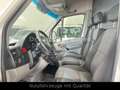 Volkswagen Crafter Kasten 50 L2H2*KLIMA*R.CAM*TEMPM*3.5TAHK Blanc - thumbnail 10