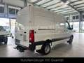 Volkswagen Crafter Kasten 50 L2H2*KLIMA*R.CAM*TEMPM*3.5TAHK Blanc - thumbnail 3