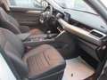 EVO EVO5 1.5 Turbo Bi-fuel GPL - NEOPATENTATI Wit - thumbnail 14