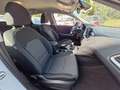 Kia XCeed Rückfahrkamera Sitzheizung etc. Weiß - thumbnail 13