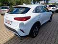Kia XCeed Rückfahrkamera Sitzheizung etc. Weiß - thumbnail 10