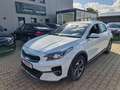 Kia XCeed Rückfahrkamera Sitzheizung etc. Weiß - thumbnail 6