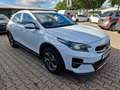 Kia XCeed Rückfahrkamera Sitzheizung etc. Weiß - thumbnail 12