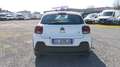 Citroen C3 BlueHDi 100 S&S Business Combi 4 Posti N1 Bianco - thumbnail 7