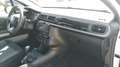 Citroen C3 BlueHDi 100 S&S Business Combi 4 Posti N1 Bianco - thumbnail 14