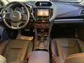 Subaru XV 1,6i AWD Automatik Premium, Leder, Navi, ACC Gri - thumbnail 9