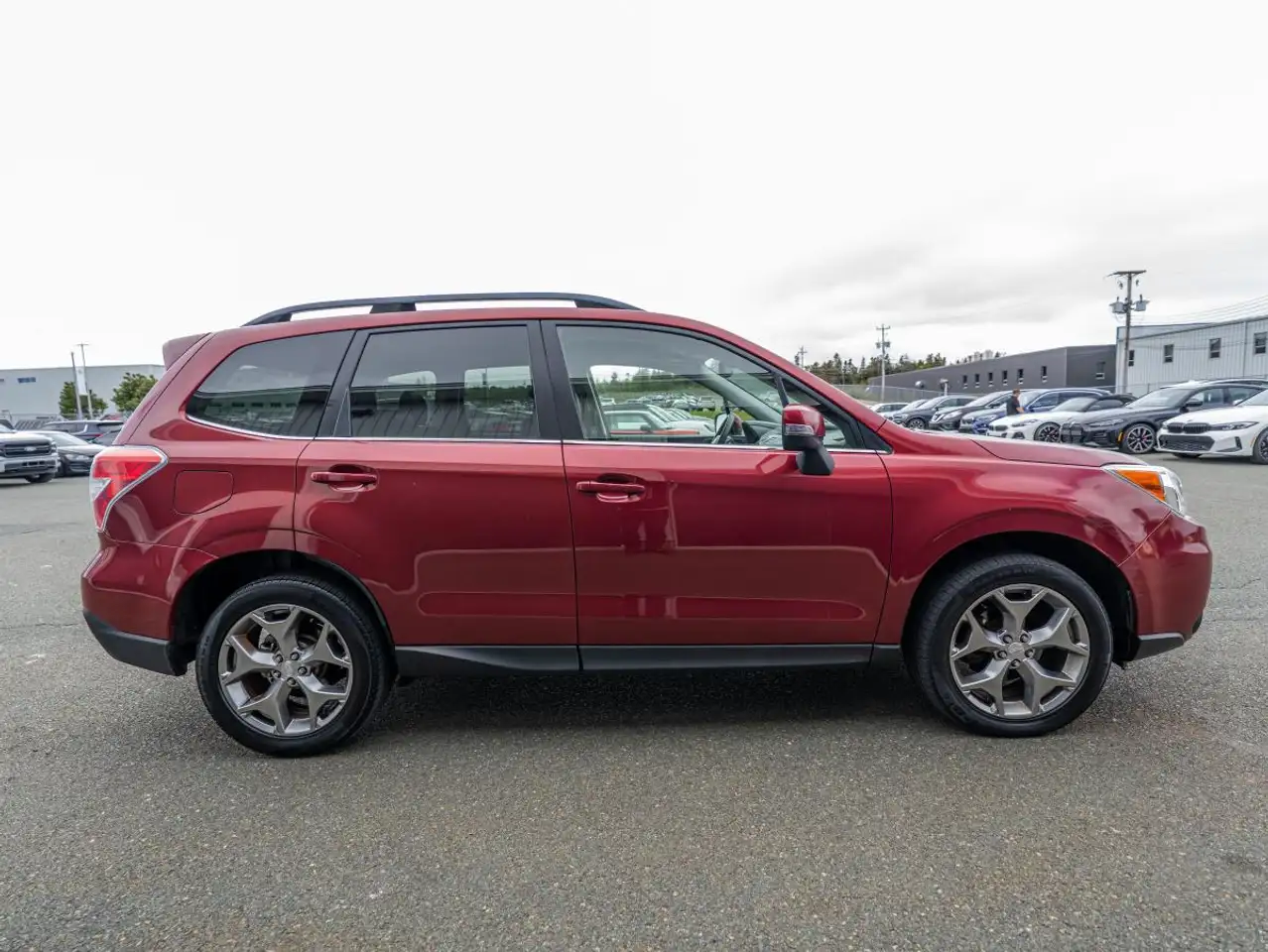 Subaru Forester fotografie Subaru Forester