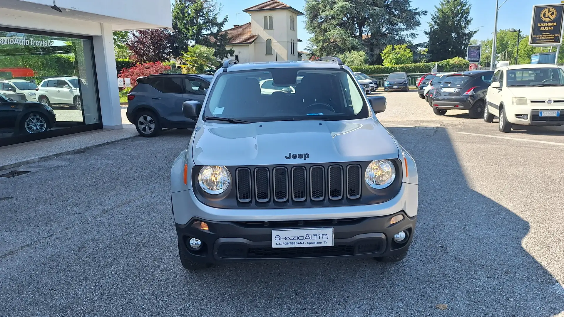Jeep Renegade 2.0 mjt Trailrated 4wd 170cv auto Grigio - 2