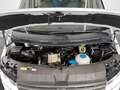 Volkswagen T6 California T6.1 California Ocean Edition AHK RFK ACC STHZ Weiß - thumbnail 40