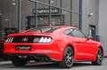 Ford Mustang 2.3 EcoBoost 55-Paket *4-Rohr Abgas.* Rot - thumbnail 28