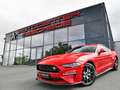 Ford Mustang 2.3 EcoBoost 55-Paket *4-Rohr Abgas.* Rot - thumbnail 1