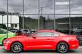 Ford Mustang 2.3 EcoBoost 55-Paket *4-Rohr Abgas.* Rot - thumbnail 7
