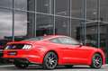 Ford Mustang 2.3 EcoBoost 55-Paket *4-Rohr Abgas.* Rot - thumbnail 29