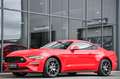 Ford Mustang 2.3 EcoBoost 55-Paket *4-Rohr Abgas.* Rot - thumbnail 29