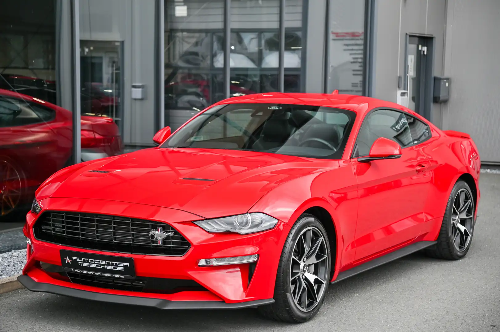 Ford Mustang 2.3 EcoBoost 55-Paket *4-Rohr Abgas.* Rot - 2