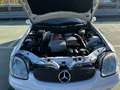 Mercedes-Benz SLK 200 SLK 200 cat Kompressor Evo Bianco - thumbnail 15