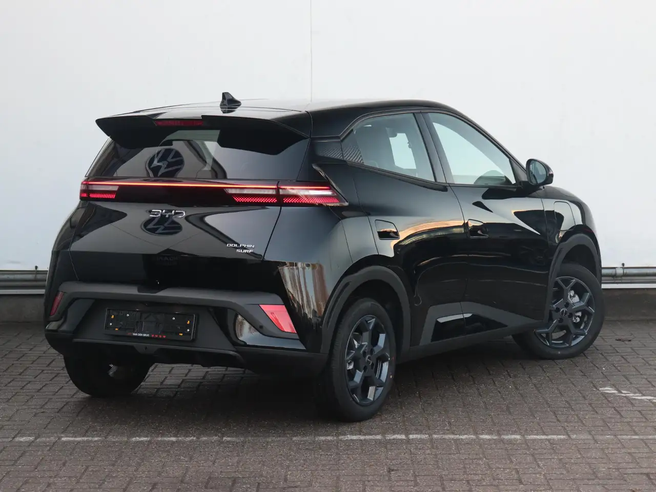 BYD DOLPHIN SURF