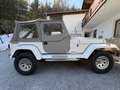 Jeep Wrangler Soft Top YJ LAREDO 1988 Weiß - thumbnail 6