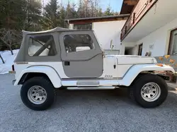 Jeep Wrangler din 1988 second hand de vânzare - AutoScout24