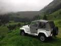 Jeep Wrangler Soft Top YJ LAREDO 1988 Weiß - thumbnail 3