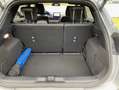 Ford Puma ZOMERACTIE - thumbnail 11