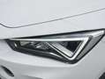 CUPRA Formentor 1,5 TSI Cupra DSG, Rückfahrkamera, LED, Sportsi... Weiß - thumbnail 6