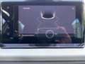 SEAT Arona Road Edition 1.0 TSI 85 kW (116 PS) 7-Gang Blanc - thumbnail 14