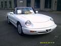 Alfa Romeo Spider MODELE INJECTION Білий - thumbnail 12