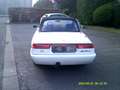 Alfa Romeo Spider MODELE INJECTION White - thumbnail 10