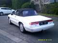 Alfa Romeo Spider MODELE INJECTION Blanc - thumbnail 11