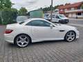 Mercedes-Benz SLK 250 SLK Roadster SLK 250 CDI BlueEfficiency Alb - thumbnail 2