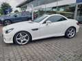 Mercedes-Benz SLK 250 SLK Roadster SLK 250 CDI BlueEfficiency Alb - thumbnail 6