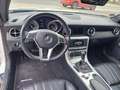 Mercedes-Benz SLK 250 SLK Roadster SLK 250 CDI BlueEfficiency Alb - thumbnail 10