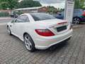 Mercedes-Benz SLK 250 SLK Roadster SLK 250 CDI BlueEfficiency Alb - thumbnail 5