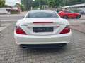 Mercedes-Benz SLK 250 SLK Roadster SLK 250 CDI BlueEfficiency Alb - thumbnail 4