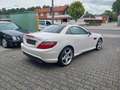 Mercedes-Benz SLK 250 SLK Roadster SLK 250 CDI BlueEfficiency Alb - thumbnail 3