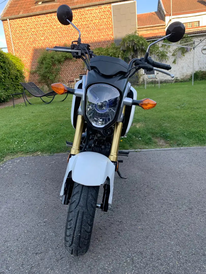 Honda MSX 125 Blanc - 1