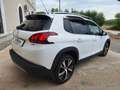 Peugeot 2008 1.6 hdi Allure 100cv NAVI PELLE CAMERA Bianco - thumbnail 3