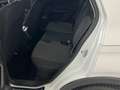 Volkswagen T-Cross T-Cross 1.0 TSI 115 CV Edition Plus Blanc - thumbnail 12
