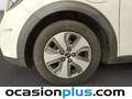 Kia Niro 1.6 PHEV Drive Bianco - thumbnail 33