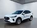 Ford Kuga Titanium 1.5 EcoBoost Fahrspur-Pilot Weiß - thumbnail 2