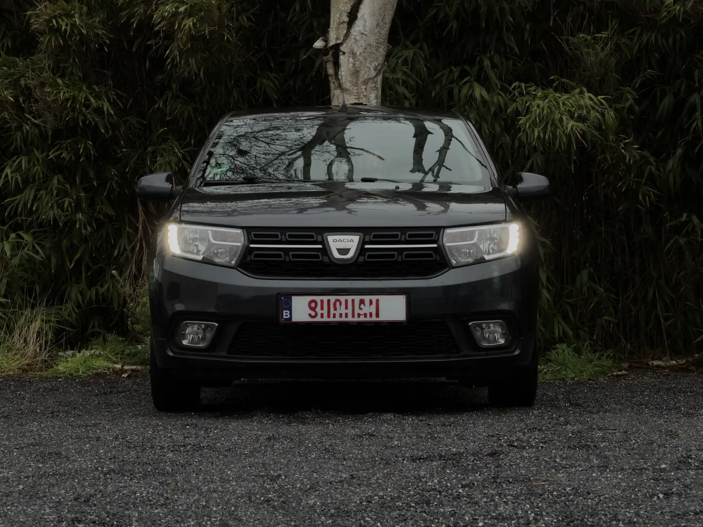 Dacia Sandero Grijs - 2