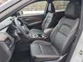 Nissan Qashqai 1,3 MHEV 4x4 Tekna Autom. *ab € 30.990,-* Weiß - thumbnail 7