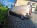 Ford Transit Custom Transit Custom Variobus 2,0 TDCI L2H1 320 Trend Trend Beige - thumbnail 4