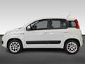 Fiat Panda 0.9 TwinAir Lounge  | Automaat | Afneembare trekha Blanc - thumbnail 2