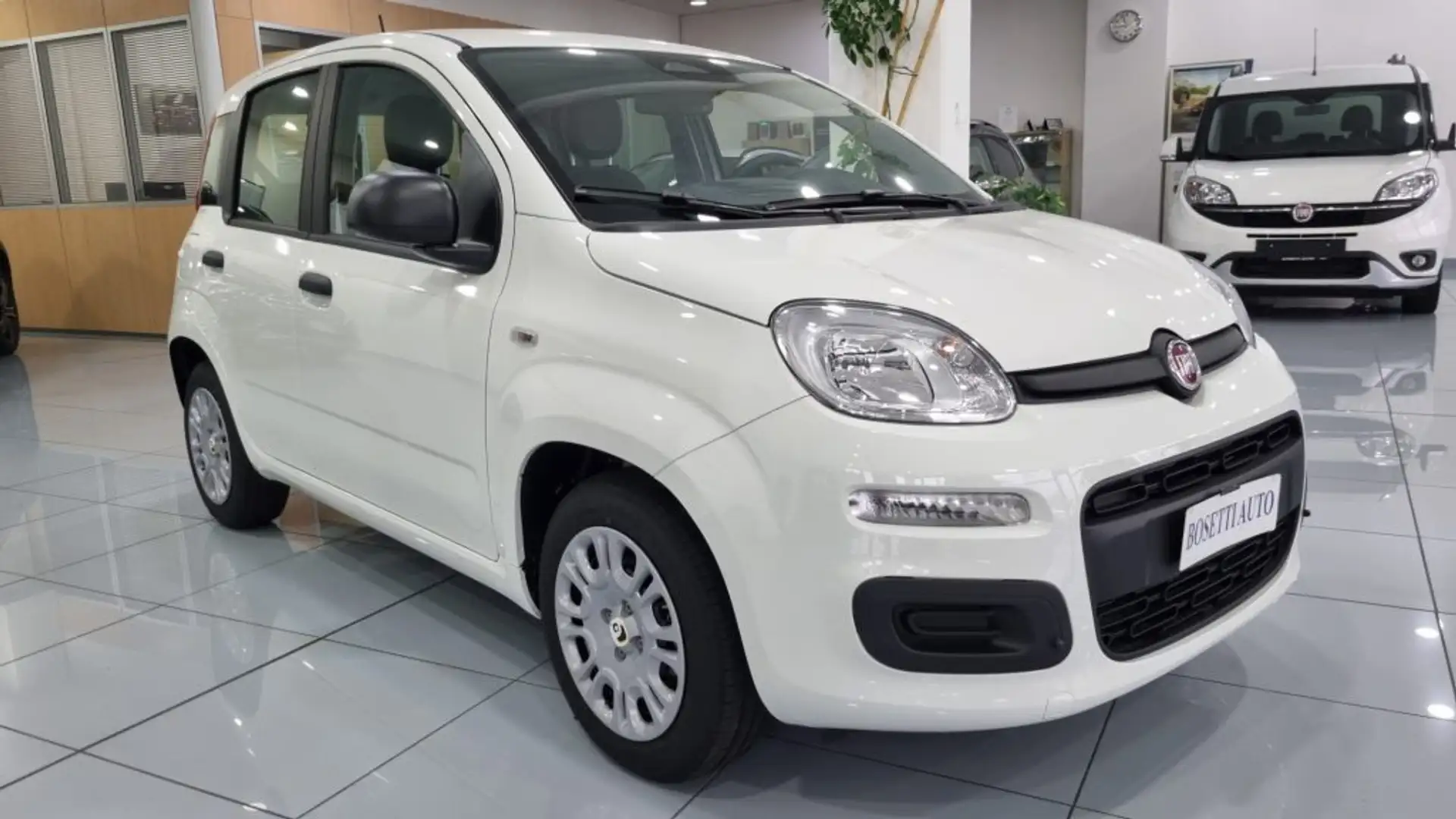 Fiat Panda 1.0 FireFly S&S Hybrid 5Posti Blanc - 2